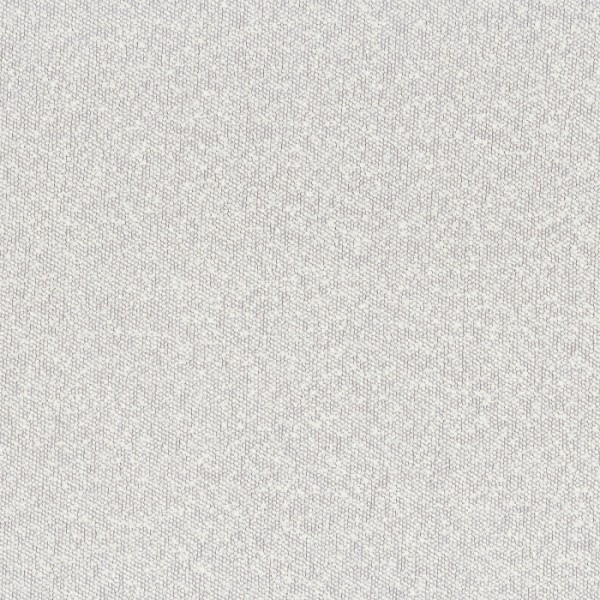 Taiga